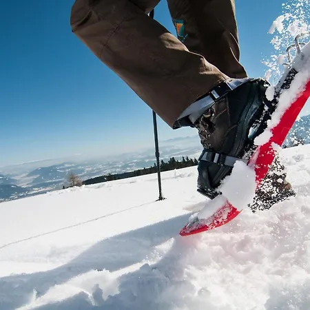 Sonnentanz Alpe Maritima & See-top 2 By Interhome Apartment Annenheim