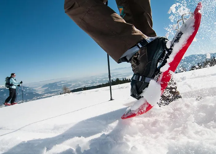 Sonnentanz Alpe Maritima & See-top 2 By Interhome Apartament Annenheim